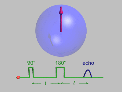 Animation montrant les enchaînements d'impulsions et la compensation des déphasages, dans la sphère de Bloch